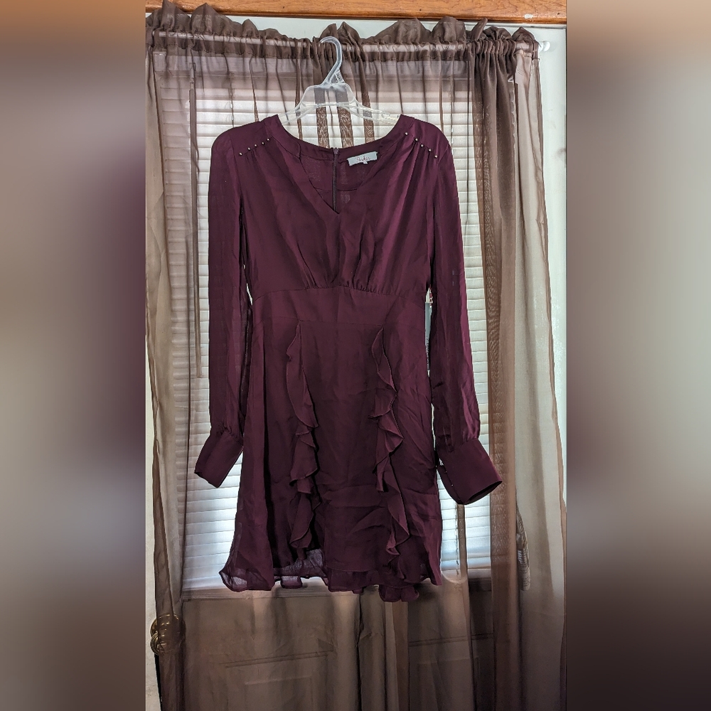 Parker NWOT Long Sleeve Dress Ruffle sz Small